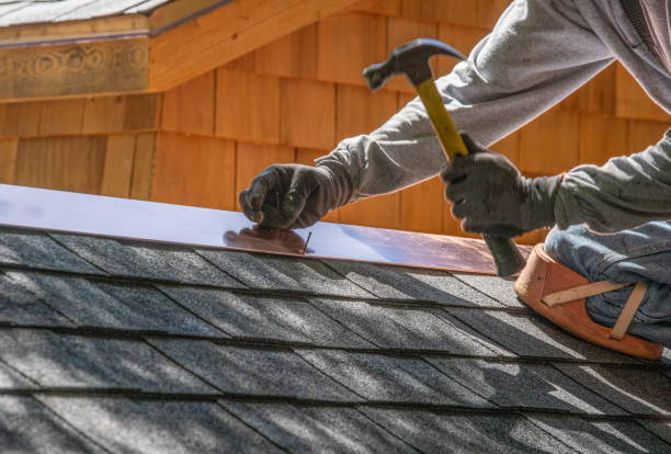 Best Sheet Metal Roofing  in Edmore, MI