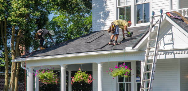Best Roof Moss and Algae Removal  in Edmore, MI